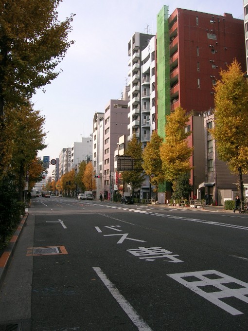 20071214-銀杏並木.jpg