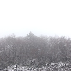 20161217-雪景色.JPG